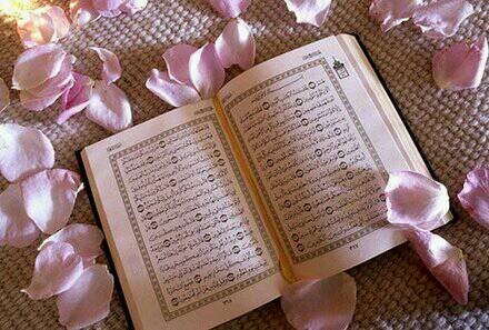 ‏‏‏‏‏‏‏‏اختي انا ارملة سورية ومعي الجسية السعودية طولي160وزني88 وعمري 30 ولا اوافق بالمسيار واريد رجل قبيلي وارضى بالتعدد .