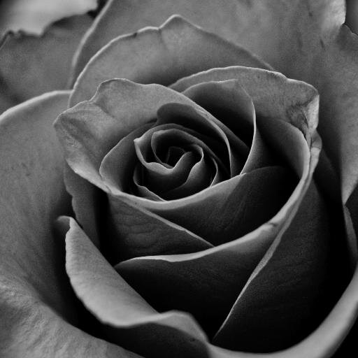 Selling Limited editions of certified printings of Fine Art Photographs, Digital Paintings and Photo Books.  (Free shipping. World wide delivery)