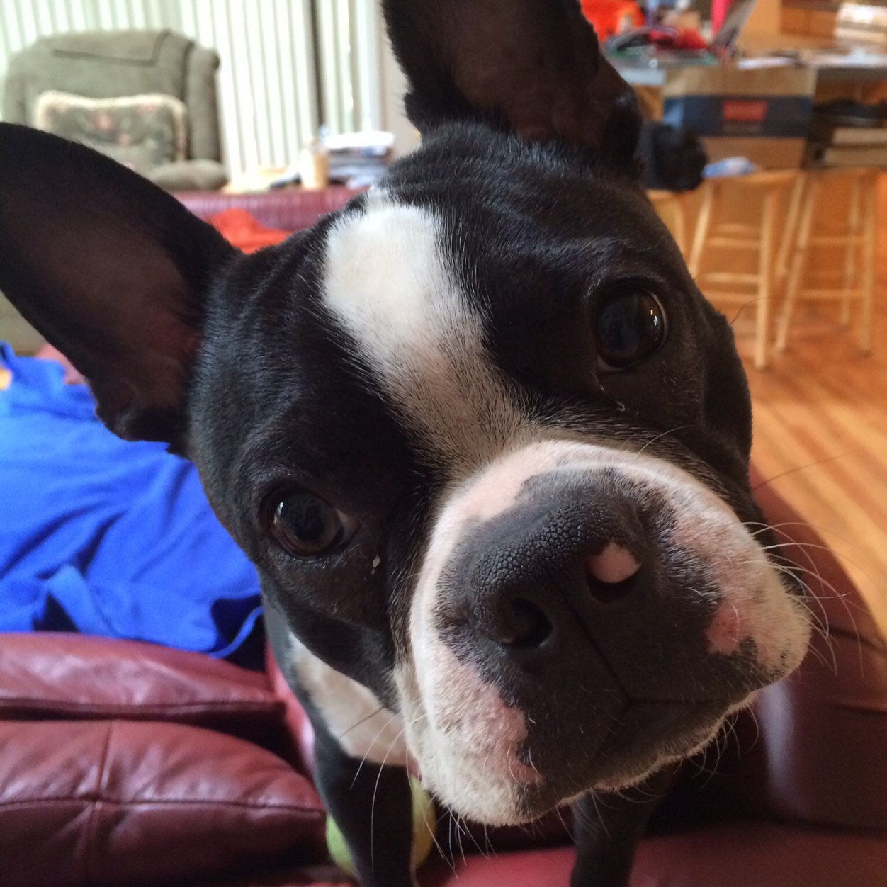 gtbochsler's profile picture. 