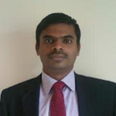 Software Consultant
