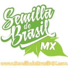 La Semilla de Brasil es un tratamiento 100% natural que te ayuda a recuperar tu figura, en tan solo 90 días notarás los beneficios que te ofrece.