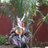dhankaur's profile image