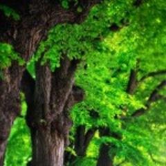 ReeveMuller's profile picture. Infuriatingly humble music evangelist  # professional  ... Interests,  Hipster-friendly tv specialist ,  Coffee maven .  Friendly food advocate .