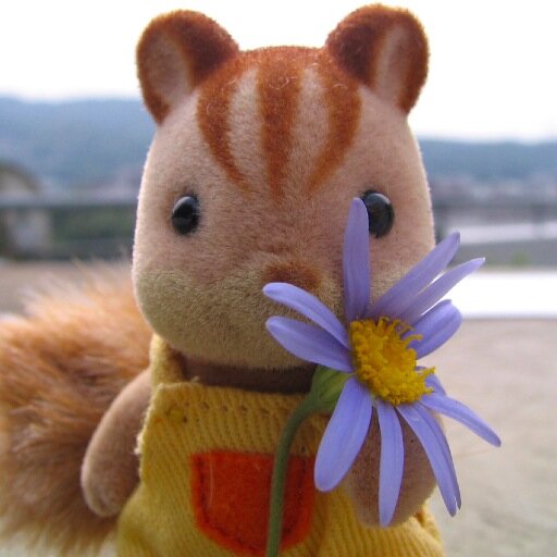 一生グラフィックデザイナーで生きていくつもりでしたが、介護生活が長すぎて現在己が何者か失念中。RTと、ほとんどくだらないことしか言いません。念のため。