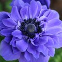 Abby Knox - @AbbyKnox6 - Twitter