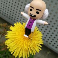 まう☆来年は35周年イヤー (@tarachanxx) 's Twitter Profile