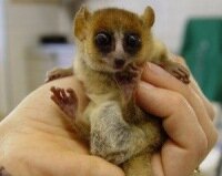 DeletedDCleted's profile picture. 