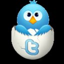 Dina Woods - @dinawoodste - Twitter