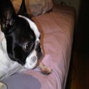 Tommie Sims - @simssv1541 - Twitter