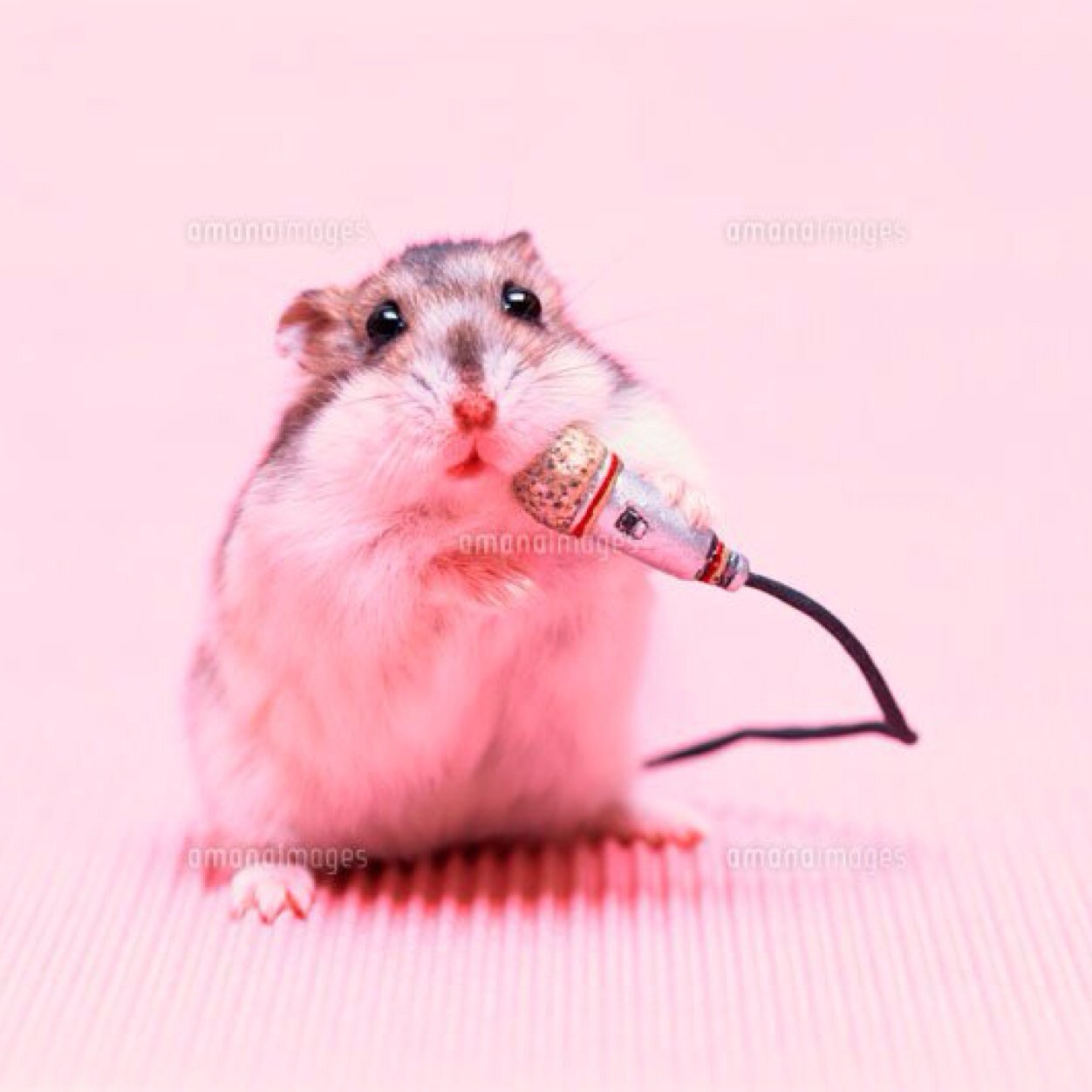 初心者ですが、バンドでGt./Vo.をしています。歌うことが大好きです。音楽のこと、日々思うこと、そんなことをつぶやいていこうかと。音楽を通じて、たくさんの人に出会えたらいいなぁ。