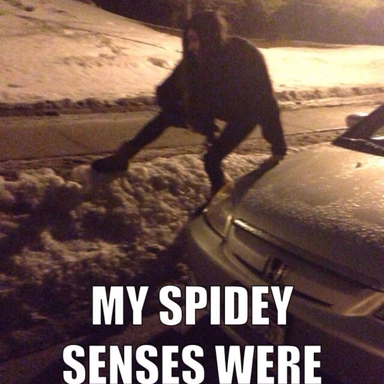 natowel247's profile picture. 