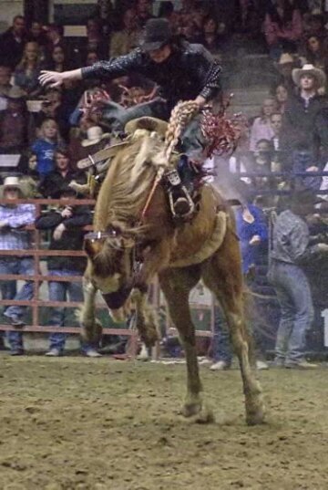 Rodeo thats life and wouldnt change it for the world