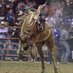 Sam Swaim (@samswaim25) Twitter profile photo