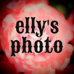 Elly's photograph in Nikon/Daily scene/sub-account
Disney account (@ellymouse94)