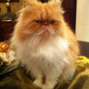 Herman Murillo - @Lindora53Herman - Twitter