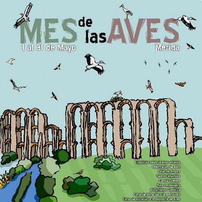 MesdelasAves's profile image