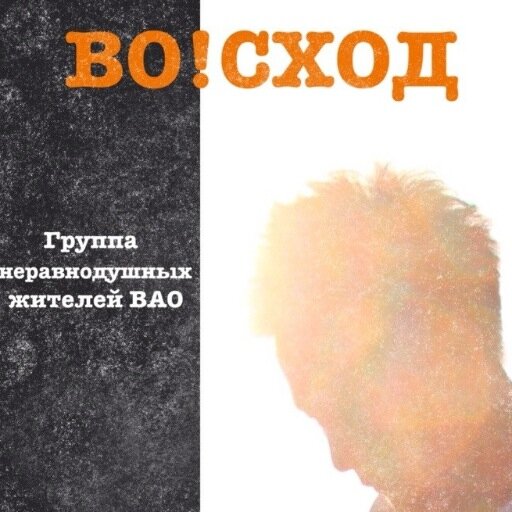 Группа неравнодушных граждан ВАО Во!сход