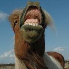 love for horselovers karma for haters