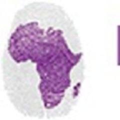 FCSI Africa, a firm specialising in fraud detection, prevention, dispute resolutions and anti-fraud training.