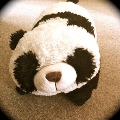 romancepantz's profile image