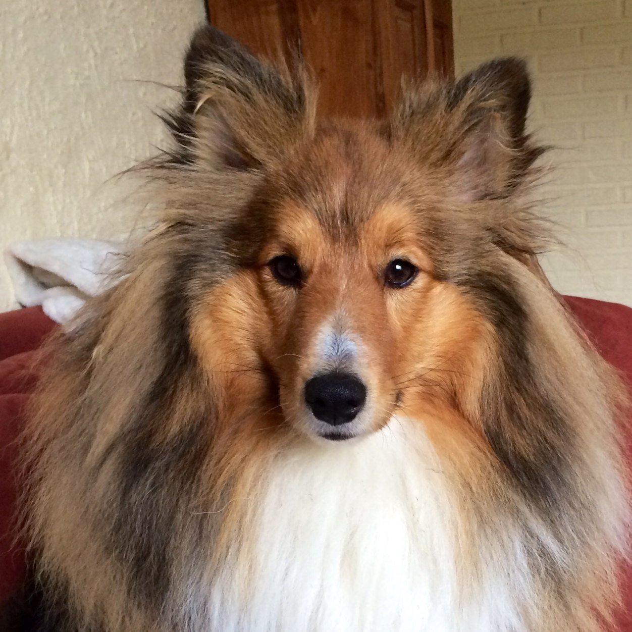 Supersjips's profile picture. Het roer gaat om. Ik ga geheel anoniem verder. Wil kunnen zeggen wat ik wil, wanneer ik dat wil. Recht voor zn raap.