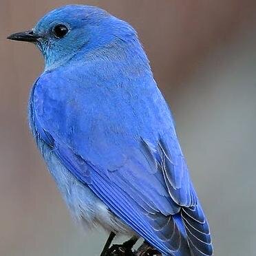 tweet tweet tweet tweet tweet tweet tweet tweet tweet tweet tweet tweet tweet tweet tweet tweet tweet tweet tweet tweet tweet tweet tweet tweet tweet tweet ....