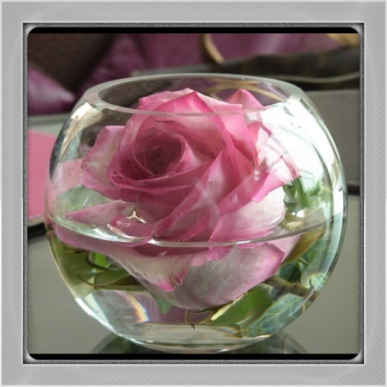 danasalsultan's profile picture. I am famous for my smile , a motivational educator @resala_school and I love my family,friends and my students  love to volunteer with @Spreadpassion