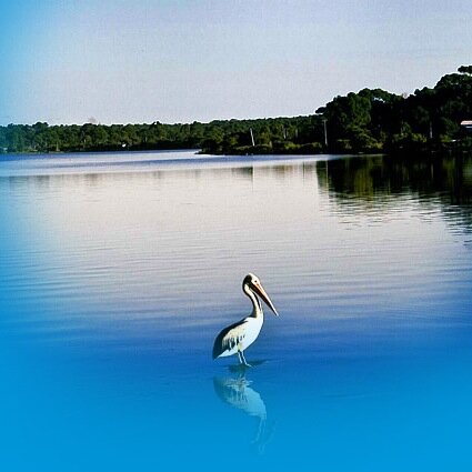 Margaret River Holiday Houses provides guests with quality accommodation in a variety of privately owned Margaret River Apartments, Houses and Studios.