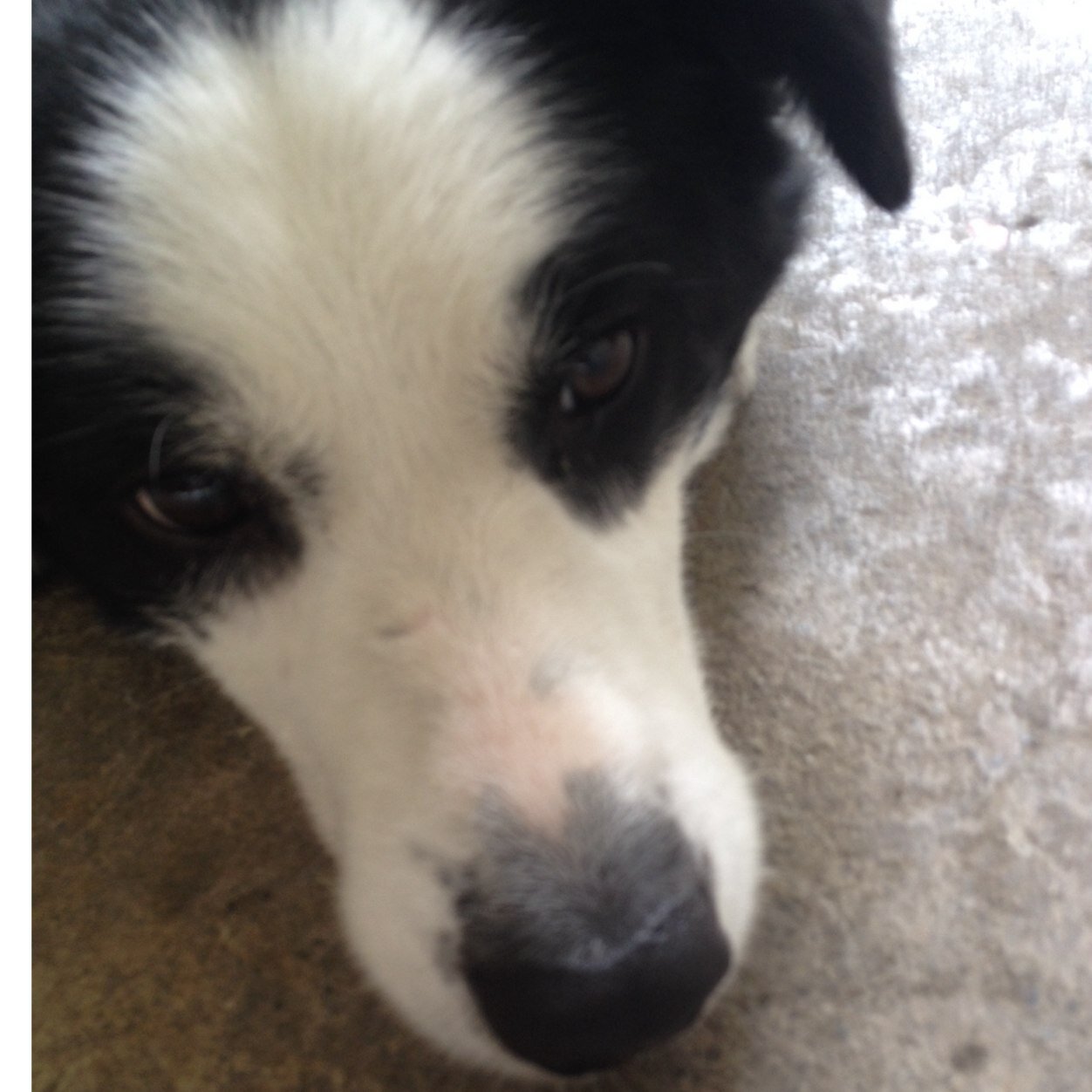 ip37's profile picture. 