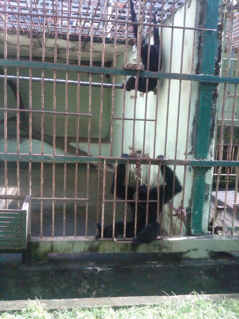 Follow twitter ku yang satunya @deeduu_dian