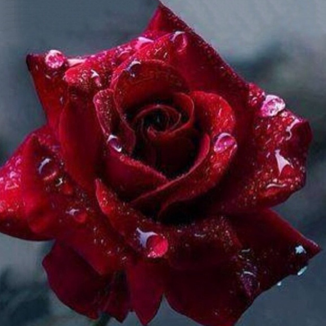 ‏‏‏‏فتاة لايكسرها شيء ....واقدر كل شيء
