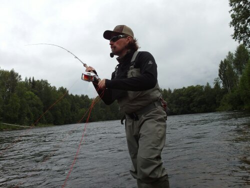 thspey's profile picture. Disc Golf!