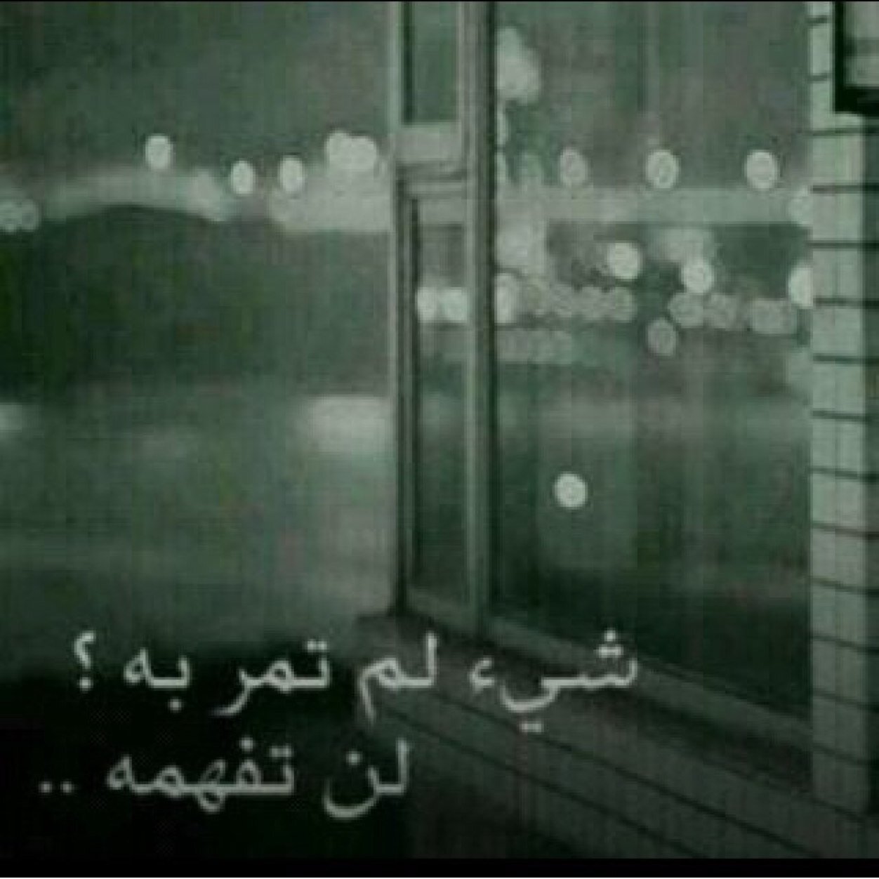 1133khald Profile Picture