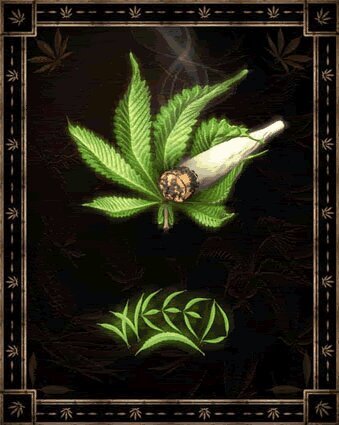 musician/songwriter, oh yeah, and a stoner:) follow me i follow back