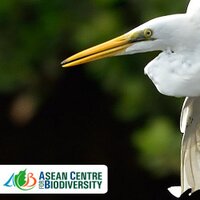 ASEANBiodiversity (@aseanbiodiv) 's Twitter Profile