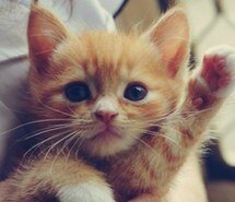 إن غبت عن هذه الدنيا فاذكروني بدعوة. *اثرثر هنا*