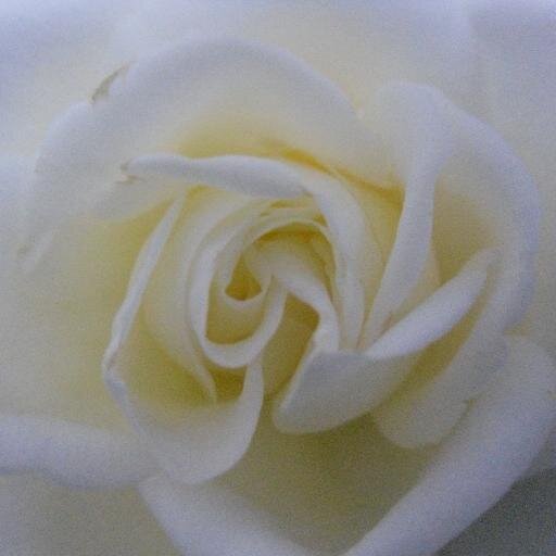 MyBlogBookClub's profile picture. #Ebooks #Ebooks #Ebooks