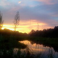 Red Sky (@redsky2013) 's Twitter Profile