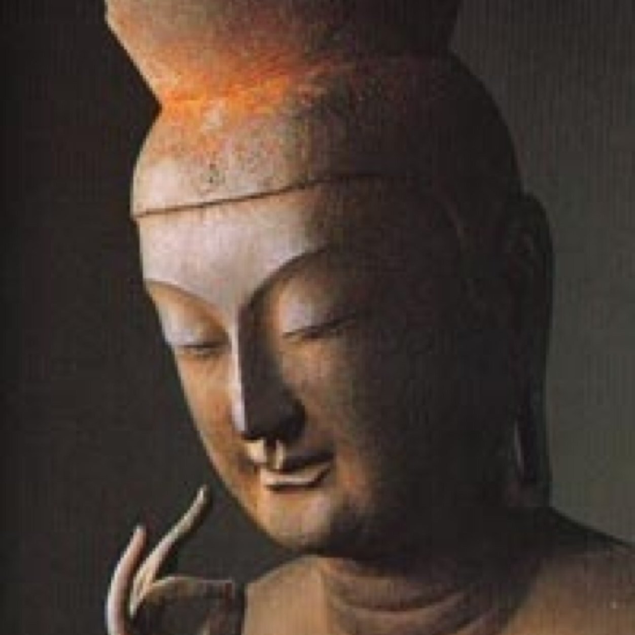 最近仏浴してない。鳥も見れてない。テニスもする暇ない。NHK鈴木アナを拝見できてない。楽器弾けてない。映画も見れてない。たまに粉系が食べたくなる地方の出身。