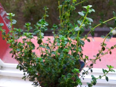 bIee826's profile picture. 