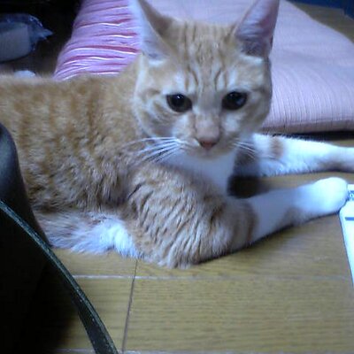 ダン