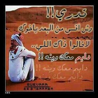 SLSLSL511's profile picture. 