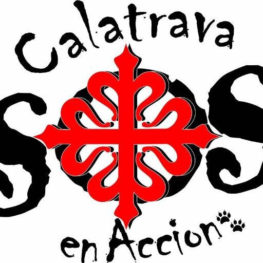 SosCalatrava's profile picture. Asociación benéfica que nace por la necesidad de asistir y dar un trato adecuado a la gran cantidad de animales abandonados en Carrión y Torralba de Cva.