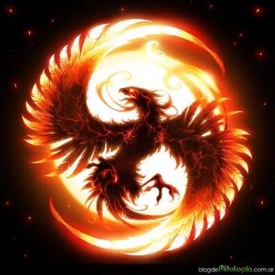 Dev/Programmer. Estudiante cronico. Esta frase dice mucho de mi: Nunca dejes de hacer algo porque pienses que es tarde... Nunca es tarde para mejorar!