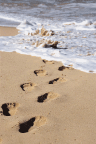 I conduct beach cleanups at any beach in So Cal - and I believe that 1 person can make a difference. .