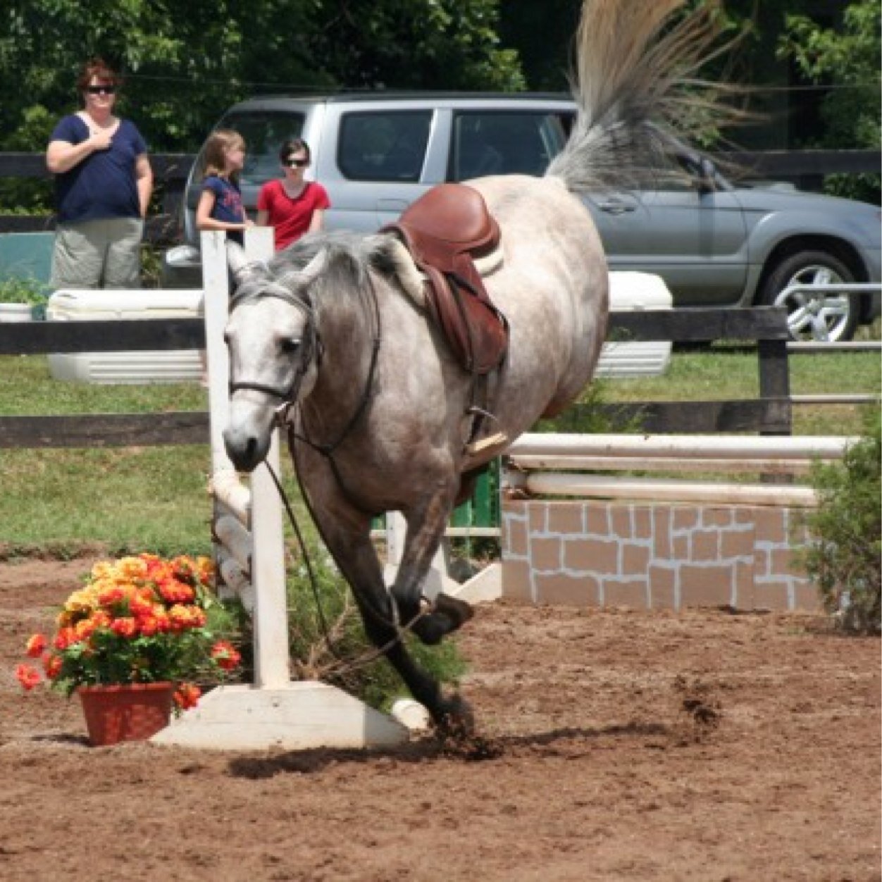 probably pony squishing