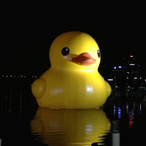 haapum's profile picture. 