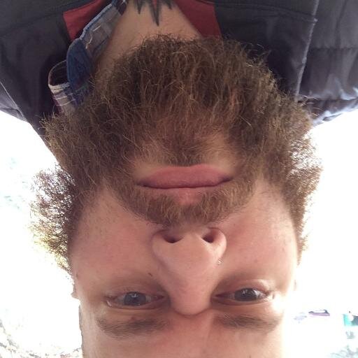 drunkzackkitz's profile picture. 