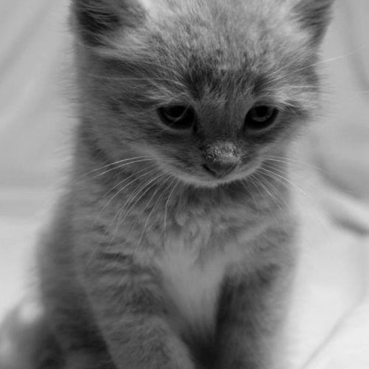 chambers429's profile picture. Wife mother living in Colchester Essex