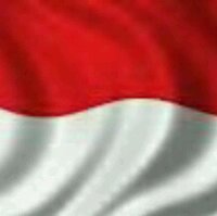 Chiplux (@yulia_etnik) 's Twitter Profile